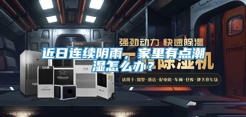 近日連續陰雨，家里有點潮濕怎么辦？