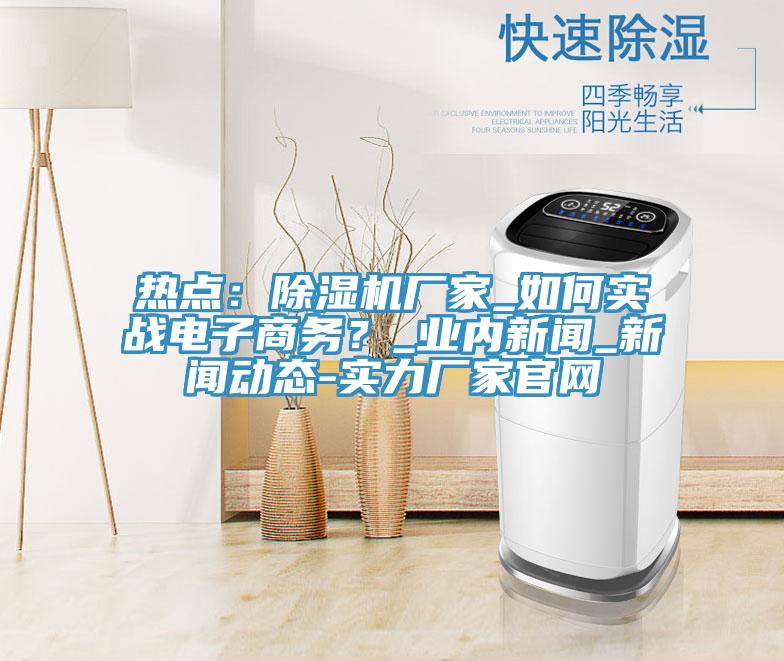 熱點(diǎn)：除濕機(jī)廠家_如何實(shí)戰(zhàn)電子商務(wù)？_業(yè)內(nèi)新聞_新聞動(dòng)態(tài)-實(shí)力廠家官網(wǎng)