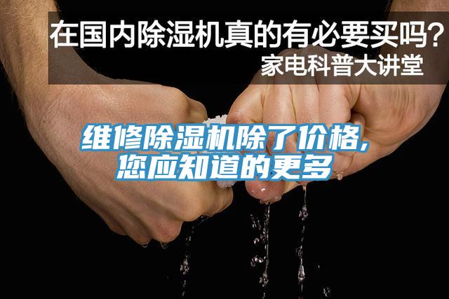 維修除濕機除了價格,您應知道的更多