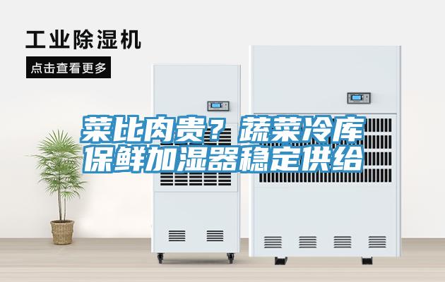 菜比肉貴？蔬菜冷庫(kù)保鮮加濕器穩(wěn)定供給