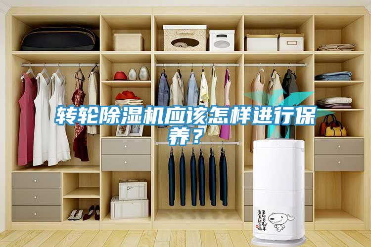 轉輪除濕機應該怎樣進行保養？