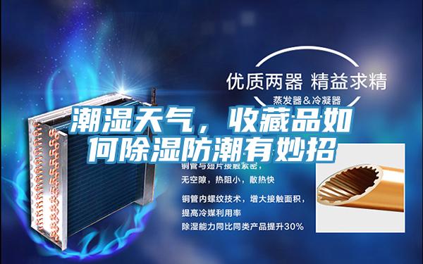 潮濕天氣，收藏品如何除濕防潮有妙招