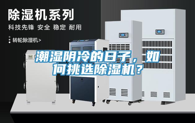 潮濕陰冷的日子，如何挑選除濕機(jī)？