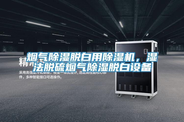 煙氣除濕脫白用除濕機,濕法脫硫煙氣除濕脫白設備