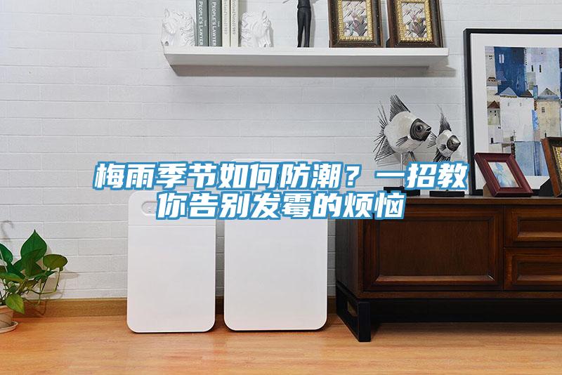 梅雨季節如何防潮？一招教你告別發霉的煩惱