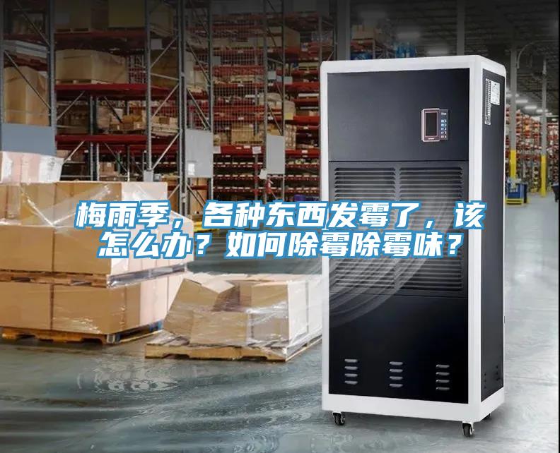 梅雨季，各種東西發霉了，該怎么辦？如何除霉除霉味？