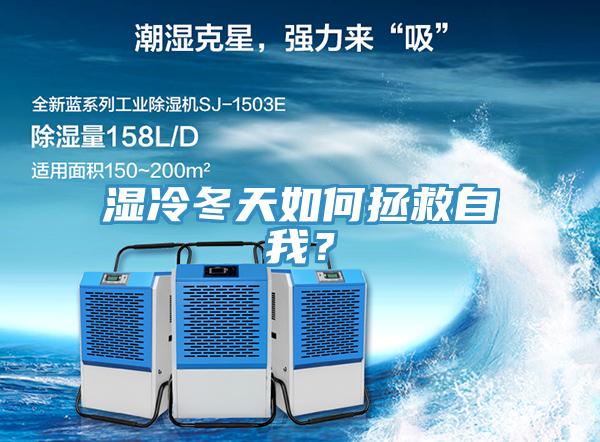 濕冷冬天如何拯救自我？