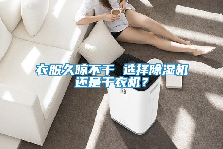 衣服久晾不干 選擇除濕機還是干衣機？