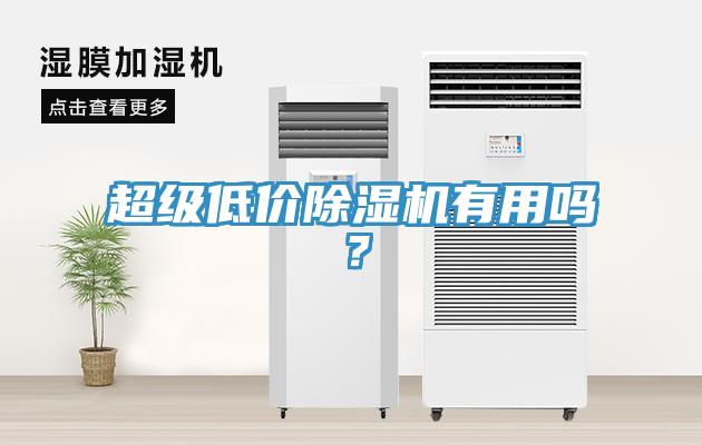 超級(jí)低價(jià)除濕機(jī)有用嗎?