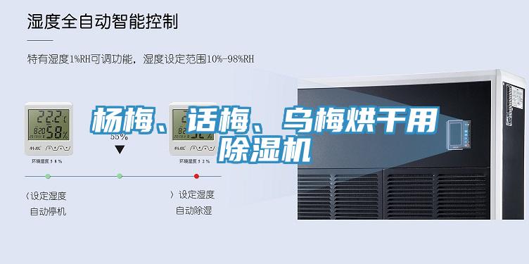 楊梅、話梅、烏梅烘干用除濕機(jī)