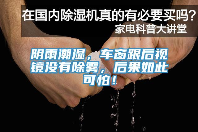 陰雨潮濕，車窗跟后視鏡沒有除霧，后果如此可怕！