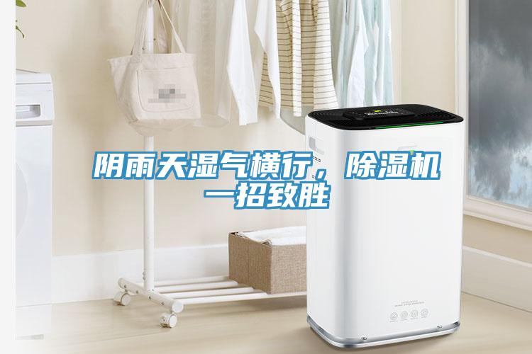 陰雨天濕氣橫行，除濕機一招致勝