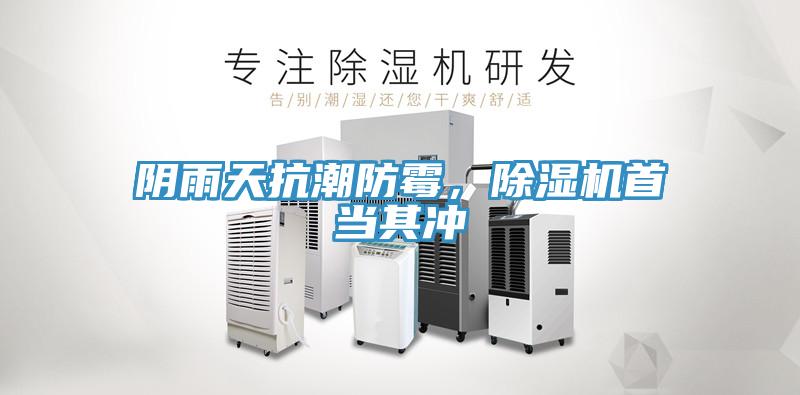陰雨天抗潮防霉，除濕機首當(dāng)其沖