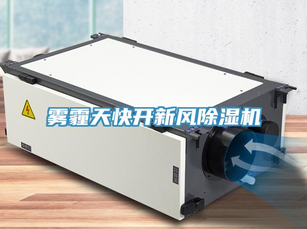 霧霾天快開新風除濕機