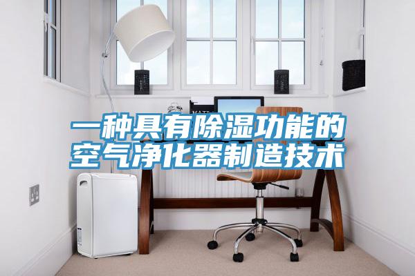 一種具有除濕功能的空氣凈化器制造技術