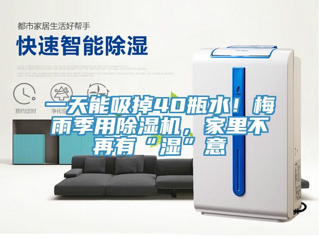 一天能吸掉40瓶水！梅雨季用除濕機，家里不再有“濕”意
