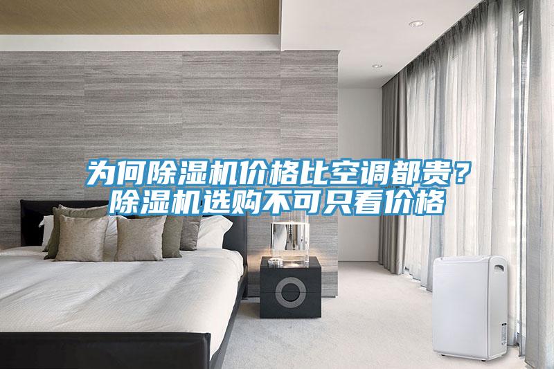 為何除濕機價格比空調都貴?除濕機選購不可只看價格