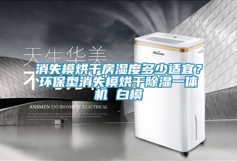 消失模烘干房濕度多少適宜？環(huán)保型消失模烘干除濕一體機(jī) 白模