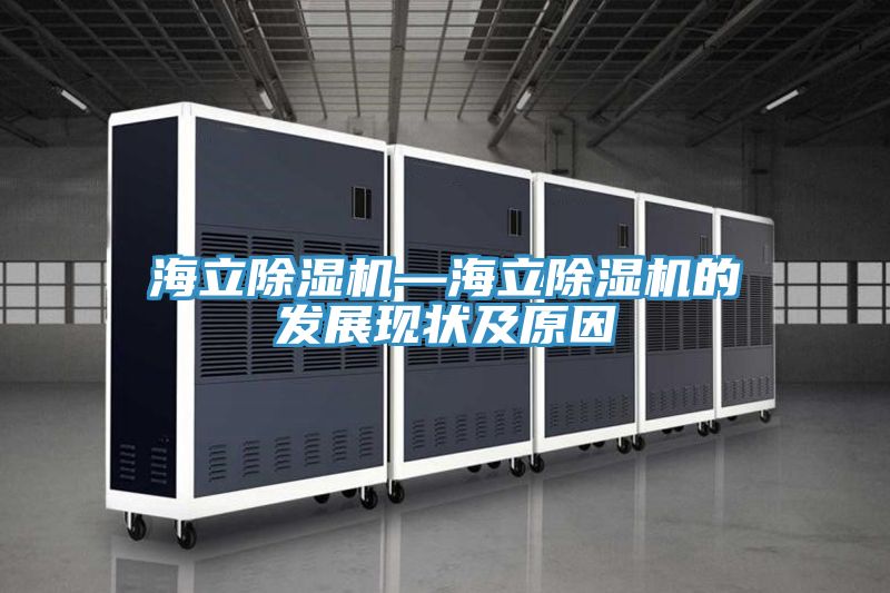 海立除濕機(jī)—海立除濕機(jī)的發(fā)展現(xiàn)狀及原因