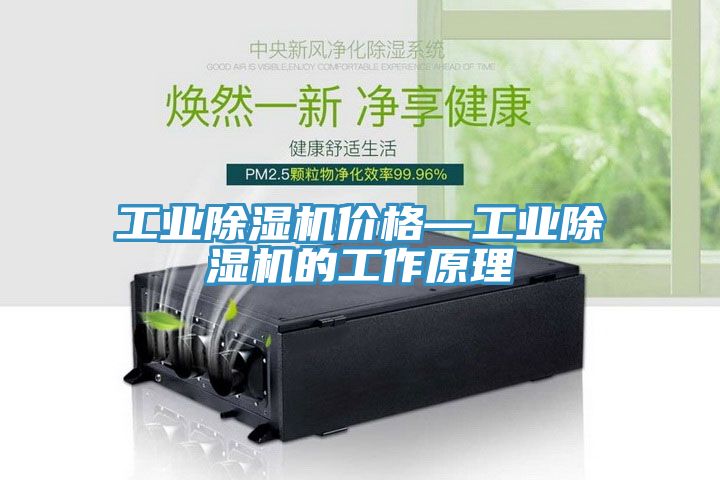 工業(yè)除濕機(jī)價格—工業(yè)除濕機(jī)的工作原理