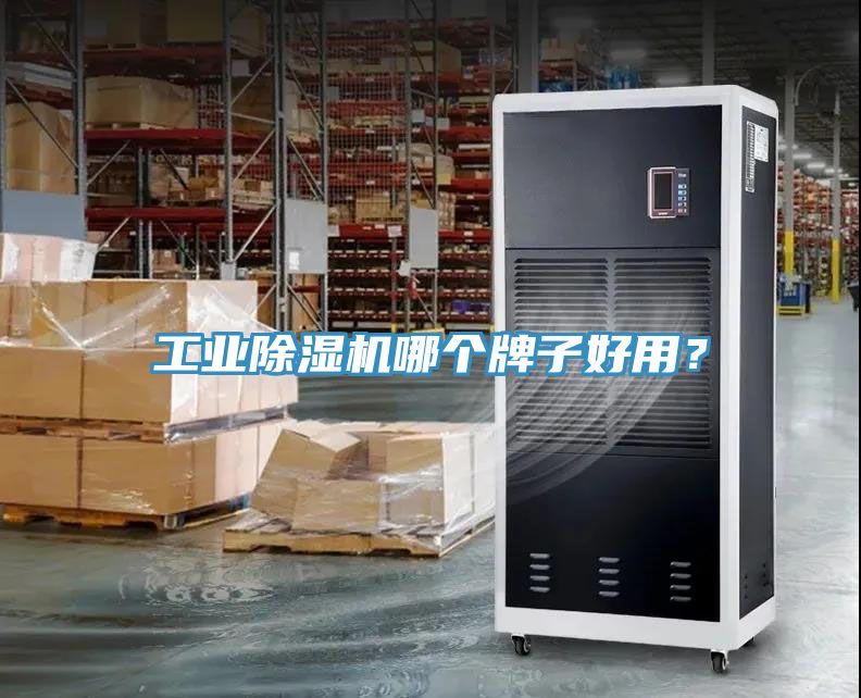 工業除濕機哪個牌子好用？