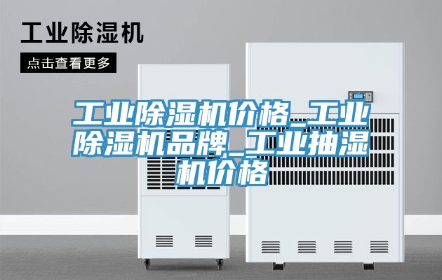 工業(yè)除濕機(jī)價格_工業(yè)除濕機(jī)品牌_工業(yè)抽濕機(jī)價格