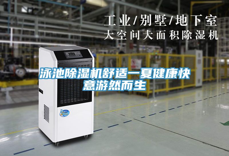 泳池除濕機舒適一夏健康快意游然而生