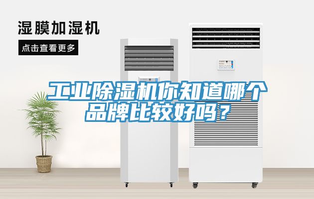 工業(yè)除濕機(jī)你知道哪個品牌比較好嗎？