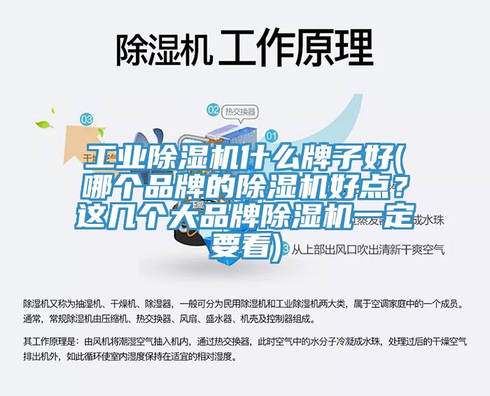 工業(yè)除濕機(jī)什么牌子好(哪個品牌的除濕機(jī)好點(diǎn)？這幾個大品牌除濕機(jī)一定要看)