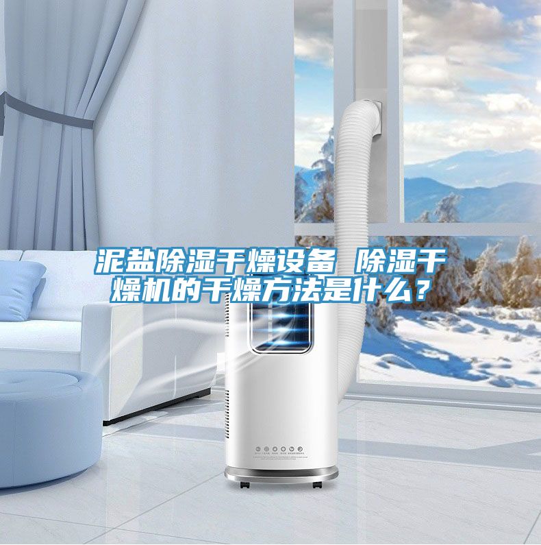 泥鹽除濕干燥設備 除濕干燥機的干燥方法是什么？