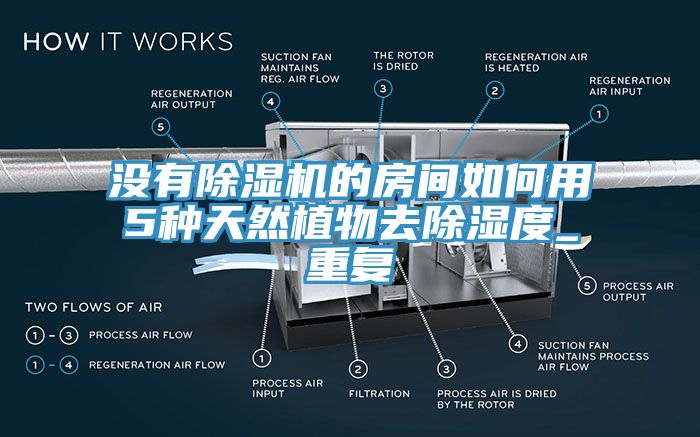 沒有除濕機的房間如何用5種天然植物去除濕度_重復