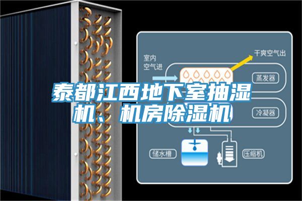 泰都江西地下室抽濕機(jī)、機(jī)房除濕機(jī)