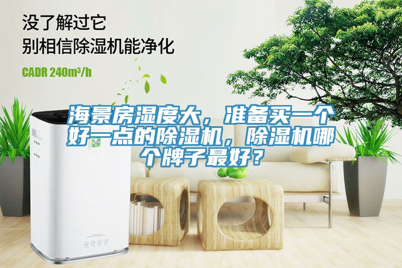 海景房濕度大，準備買一個好一點的除濕機，除濕機哪個牌子最好？