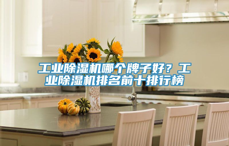 工業除濕機哪個牌子好？工業除濕機排名前十排行榜