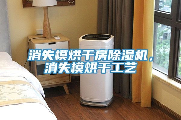 消失模烘干房除濕機(jī)，消失模烘干工藝