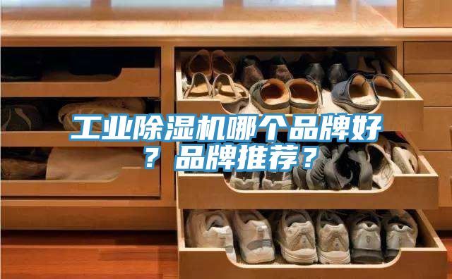 工業除濕機哪個品牌好？品牌推薦？