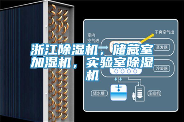 浙江除濕機，儲藏室加濕機，實驗室除濕機