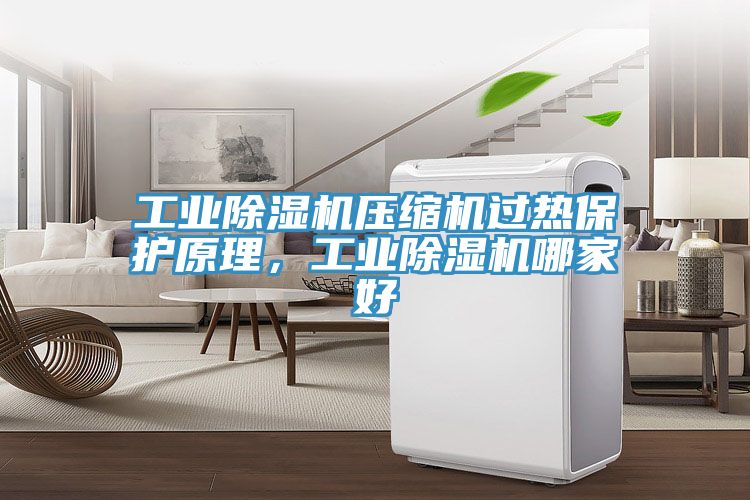 工業除濕機壓縮機過熱保護原理，工業除濕機哪家好