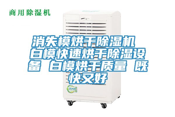 消失模烘干除濕機(jī) 白模快速烘干除濕設(shè)備 白模烘干質(zhì)量 既快又好