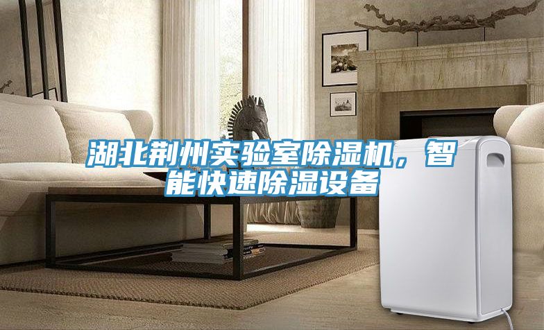 湖北荊州實(shí)驗室除濕機(jī)，智能快速除濕設(shè)備