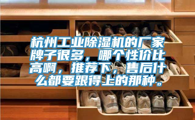 杭州工業除濕機的廠家牌子很多，哪個性價比高啊，推薦下，售后什么都要跟得上的那種。