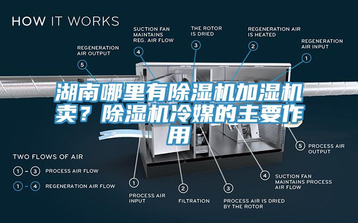 湖南哪里有除濕機(jī)加濕機(jī)賣？除濕機(jī)冷媒的主要作用