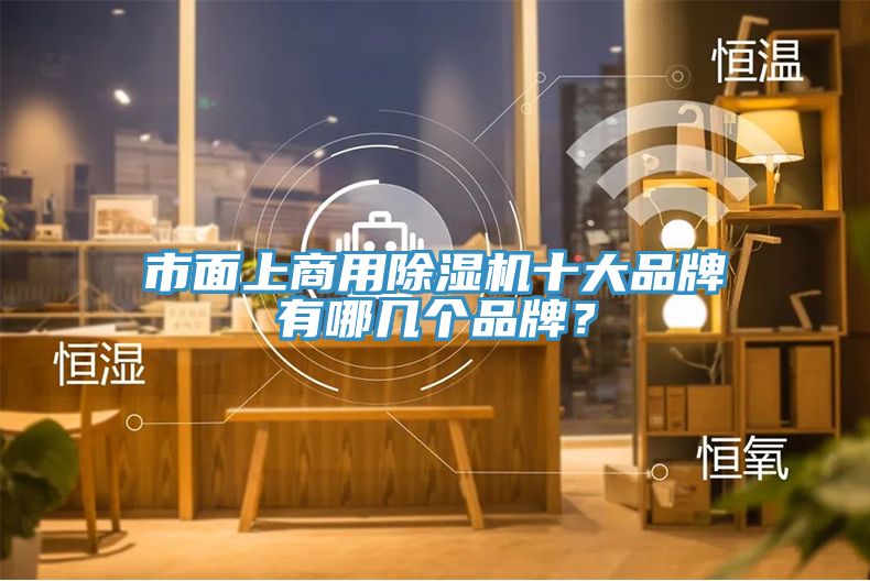 市面上商用除濕機十大品牌有哪幾個品牌？