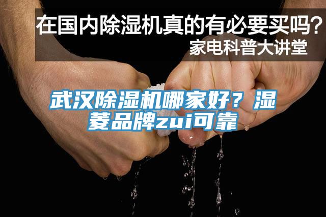 武漢除濕機哪家好？濕菱品牌zui可靠