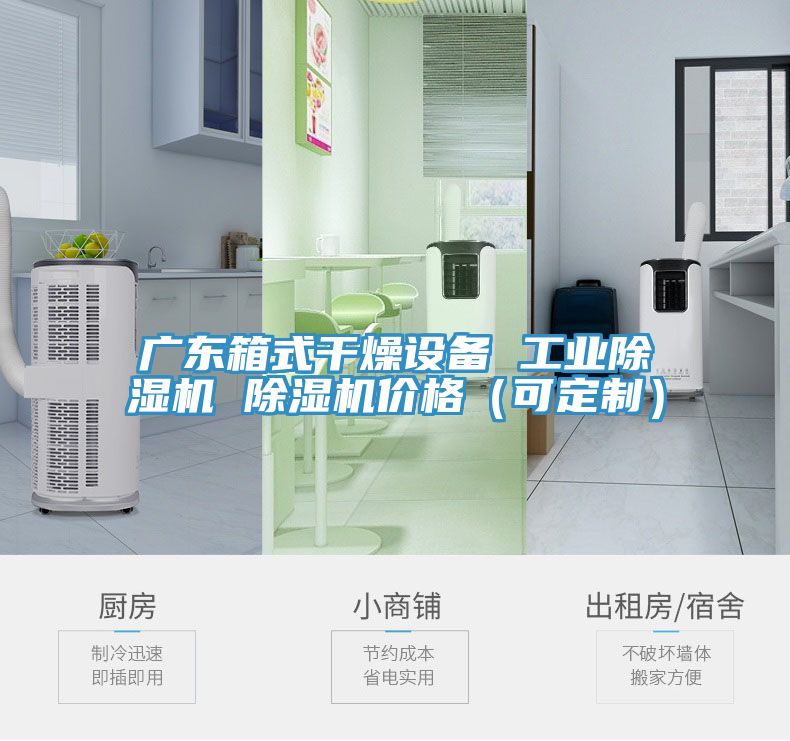 廣東箱式干燥設備 工業除濕機 除濕機價格（可定制）