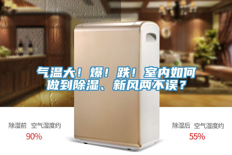 氣溫大！爆！跌！室內如何做到除濕、新風兩不誤？