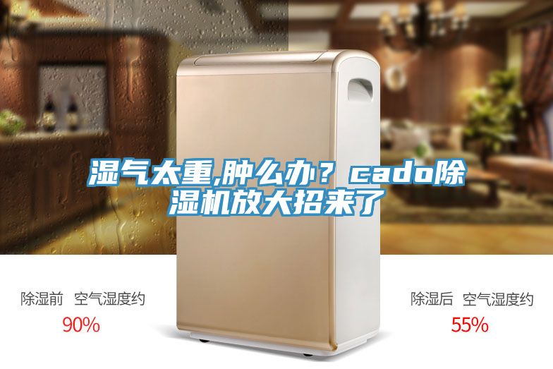 濕氣太重,腫么辦？cado除濕機放大招來了