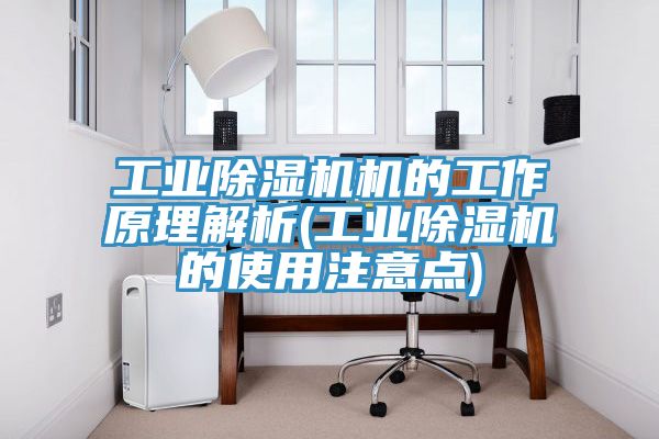 工業(yè)除濕機(jī)機(jī)的工作原理解析(工業(yè)除濕機(jī)的使用注意點)