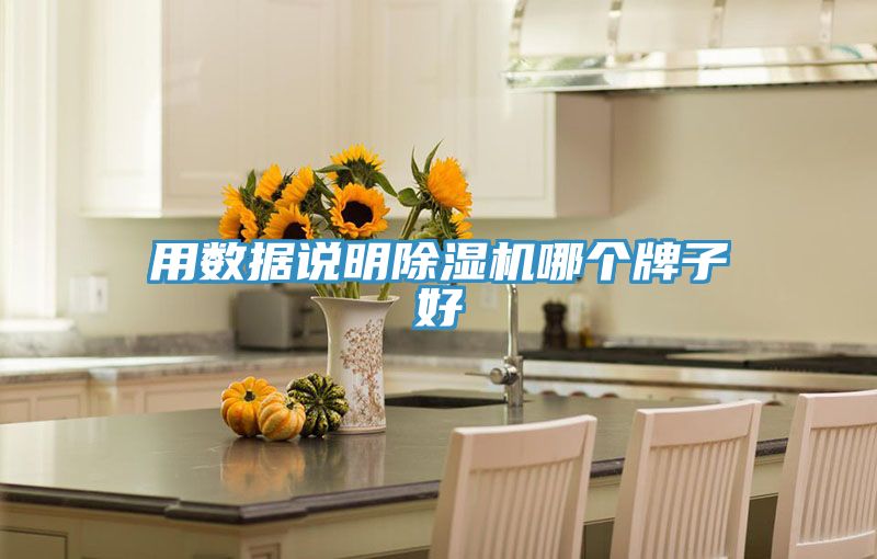 用數(shù)據(jù)說明除濕機哪個牌子好