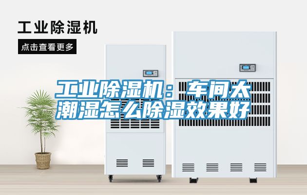 工業除濕機：車間太潮濕怎么除濕效果好